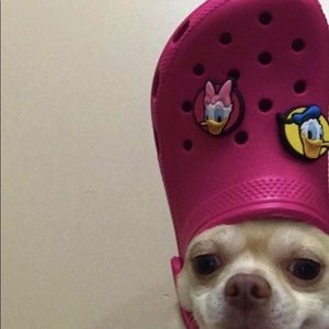 Meet your Posher, Alexa